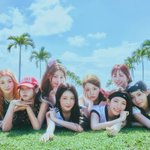 세이마이네임, '새 고양이' 슈이 환영회 제대로…'iLy' 컴백...