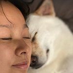 '이상순' 이효리, 서울서도 반려견과 24시간 함께..침대 <b>민낯</b>...