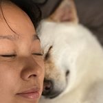 '이상순' 이효리, 60억 평<b>창동</b>家 반려견과 행복.."사랑해"