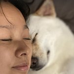 이상순' 이효리, 반려견들과 웃고 운 서울살이…"사랑해 <b>미달</b>아"