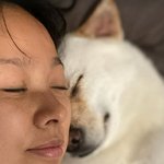 이상순’ 이효리, 반려견과 행복한 60억 평창동 家 일상…<b>민낯</b>도...