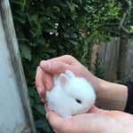 동방신기 <b>라이징</b>썬 ㅈㄴ좋음