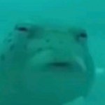 <b>캐비</b> 공연 ㅈㄴ 욱기다