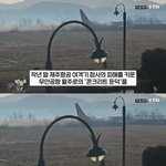 세월호는 <b>선장</b>탓이 아니라 박근혜탓이라고 탄핵해놓고