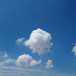 [혼자하는말] 점심 <b>식사</b> 잘하길!