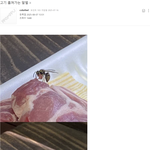 고기 훔쳐가는 말벌