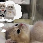 <b>다시</b> 못보더라도