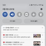 오 오늘 세계 고양이 날이래