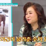 오은영, 복권 당첨 될 뻔?..“반려견 꿈에 나와 숫자 6개 알려줘”...