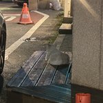 <b>유혹</b>하는 궁뎅이