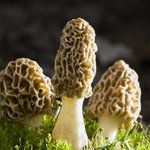 [댓글부탁해] 고등학교 <b>내신</b> 얼마나 중요해?