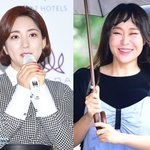 바다→정주리 사과 “제보 받은 후 조치, 죄송” 거짓 광고·소비자...