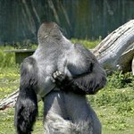 믿거나말거나 음방 스텝했었는데