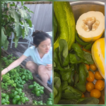 ‘54세 주부’ 이영애, <b>텃밭</b>서 호박·참외 수확…“오늘은 뭘 해먹을까”