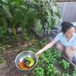 [모두드루와] 이영애, <b>텃밭</b> 매는 54세 주부…호박부터 참외까지...