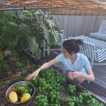 [모두드루와] 이영애 텃밭서 <b>호박</b> 수확...“주말 여름 뭘 해먹을까”