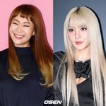 "책임 막중" 정주리·바다, '호주 화장품' 뭐길래..허위 광고...