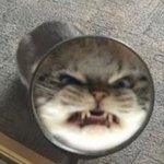 너만 보면 <b>화나</b>