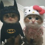 [저희] <b>아무사이</b> 아니에요