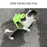 오빠 나 <b>어디</b>좀 갔다올개