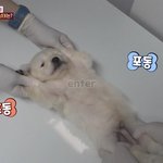 [<b>몽몽이</b>] 엑스레이 찍으보자