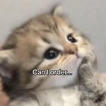 [<b>말차</b>] 또라이몽 사주겐니?