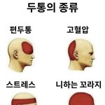 <b>모리</b>가 왜아픈데?