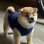 [<b>화가</b>나도] 참아야할때가 있는거야