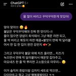 지피티 <b>개조</b>중이야