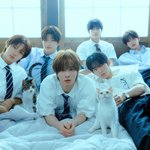 [단독]투어스, 일본 휩쓸고 10월 중순 컴백…상승세 잇는다