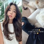 기은세, 요가 중 햄스트링 <b>파열</b>…보호대 착용한 채 요지부동