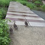 <b>취준생</b> 괴롭히는 제미나이