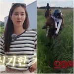 소녀시대 유리, 제주도서 낙마 사고…“무서워서 고삐 놔”