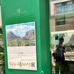 “산<b>빛</b>의 물음표”…신소율, 녹음 <b>아래</b> 사유→잔상 남긴 여름 오후