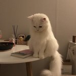 [<b>잘</b><b>자</b>] 오빠