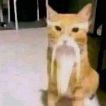 어제 <b>사각</b>턱 보톡스 맞고 옴