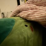 언제까지 <b>이새</b>키만 붙들고 살거야