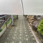 <b>고고</b>헛