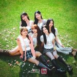 [단독]모모랜드, 3년 8개월 만에 '완전체' 신곡…9월 8일 컴백