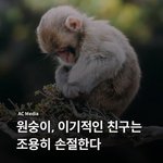 [오빠] <b>몽키</b> 욕하지마