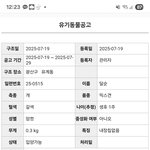 [댓글부탁해] 유기견 공고 보다가..