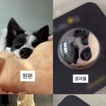 [댓글부탁해] <b>주문</b>제작했는데 돈 주고 쓰레기 산 듯요 ㅠㅠ + 환불...