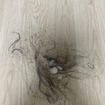 <b>바닥청소</b> 한달만에 했긔 ..