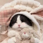 오늘 <b>꿈</b>에도 나와주세요