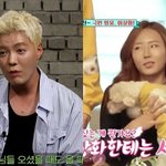 강남이상화 <b>반려</b>견 때문 열애 발각, 태진아 故송대관도 “얼마나 사귀었냐...