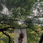 '41㎏' 최준희, <b>나뭇가지</b>처럼 가녀린 팔 다리 "96㎏ 절대 안...