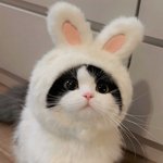 보고싶다