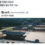 가짜 <b>오지</b>콤이 좋다