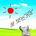 <b>트위터</b> 안 하니까 확실히 좋음