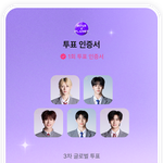 [드루와] 보플 투표했다